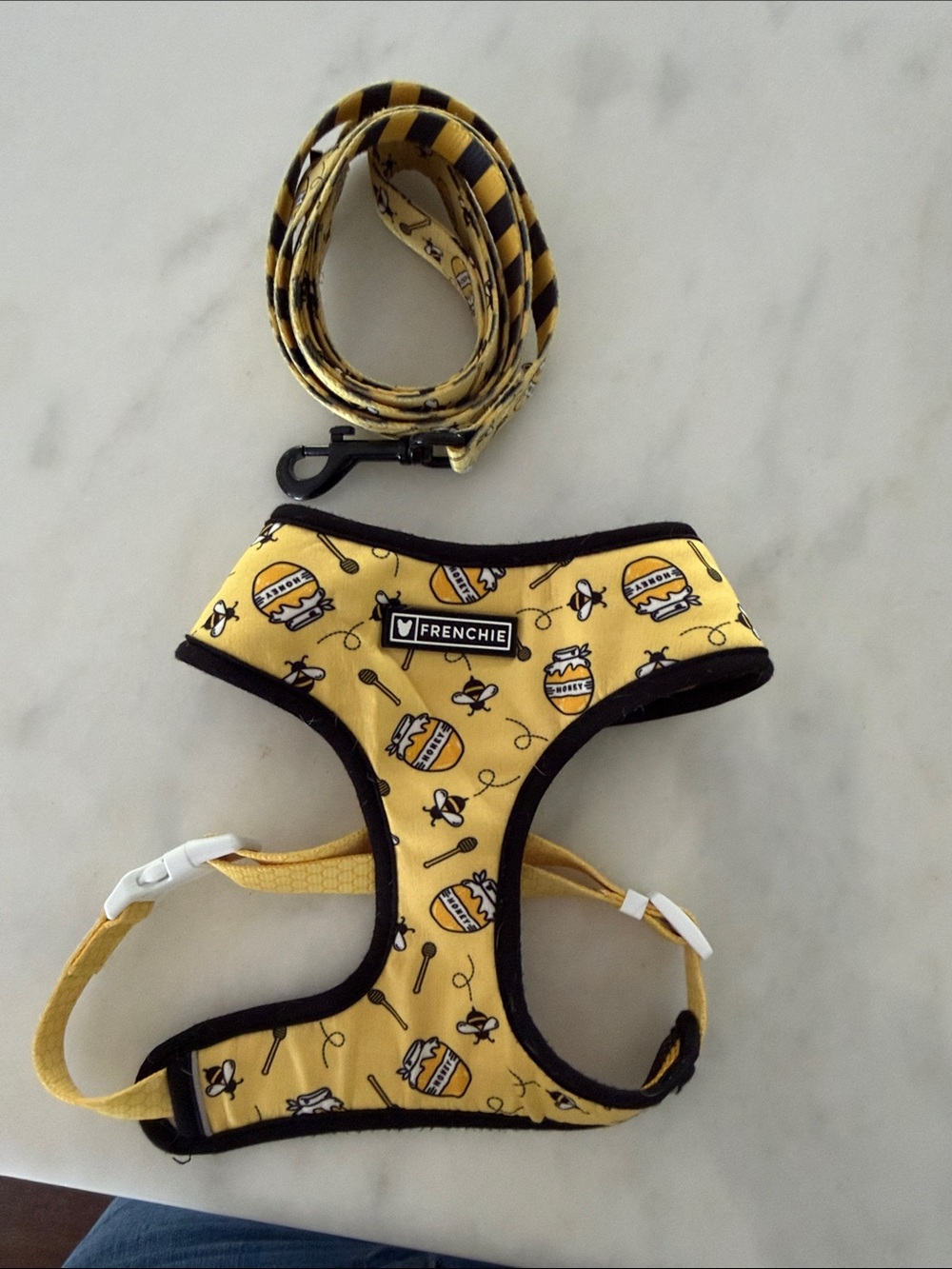 Frenchie Yellow and Black Bee-Print Dog Harness with Striped Leash